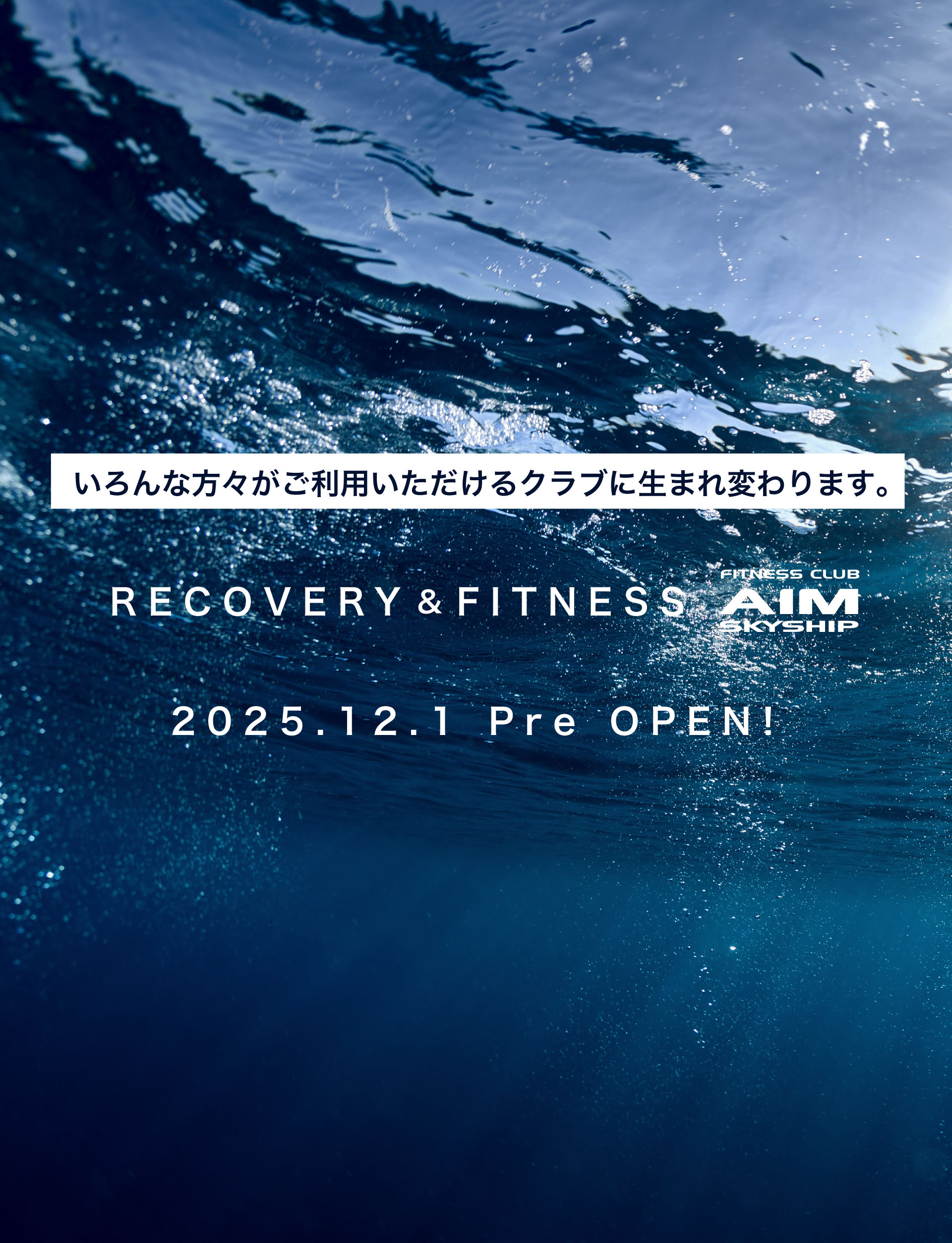 スカイシップリカバリー写真１